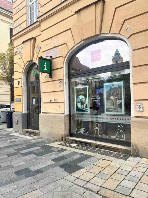 New Studio In Quiet Part Of The City Center Bratislava Buitenkant foto
